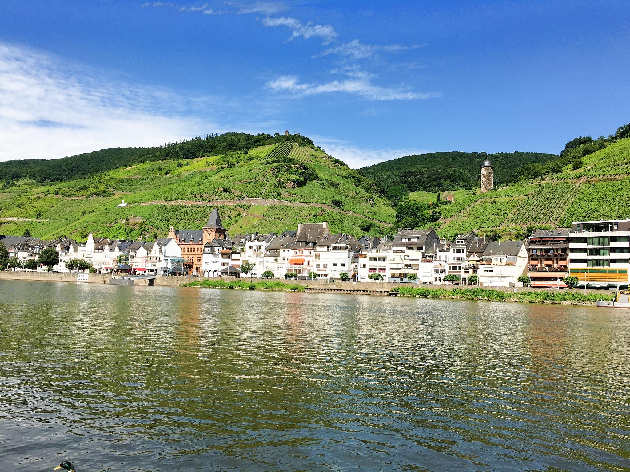 Zell an der Mosel